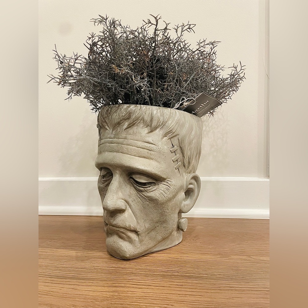 Viral tiktok Martha Stewart Frankenstein Head Planter Halloween New 2024 Rare